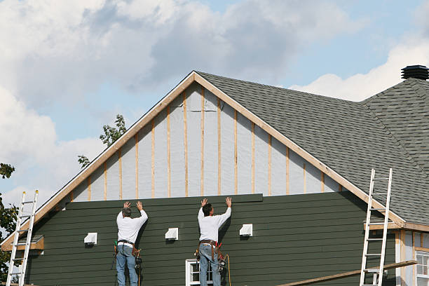 Professional Siding Repair technician working in Freeburg, IL