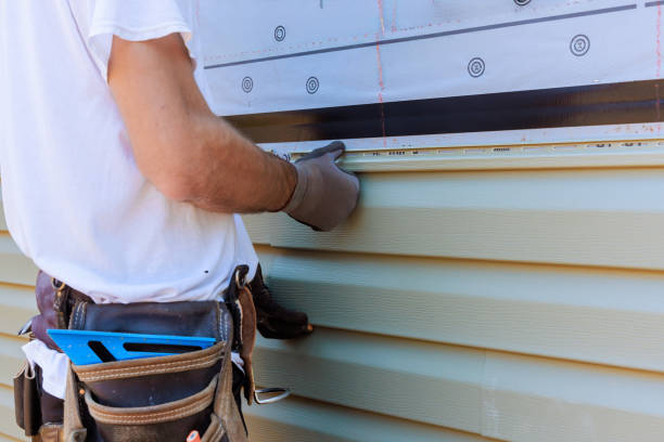 Affordable Siding Repair solutions in Freeburg, IL